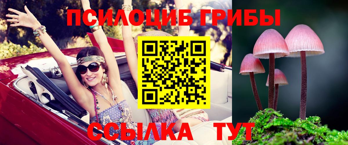 Псилоцибиновые грибы ЛСД Гатчина