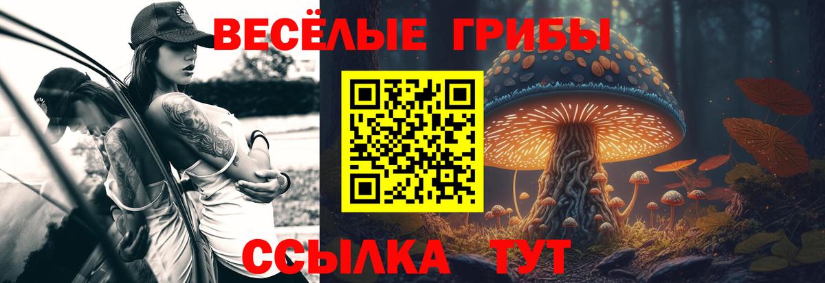 Псилоцибиновые грибы GOLDEN TEACHER  Вход с VPN  Галлюциногенные грибы мухоморы  Гатчина 