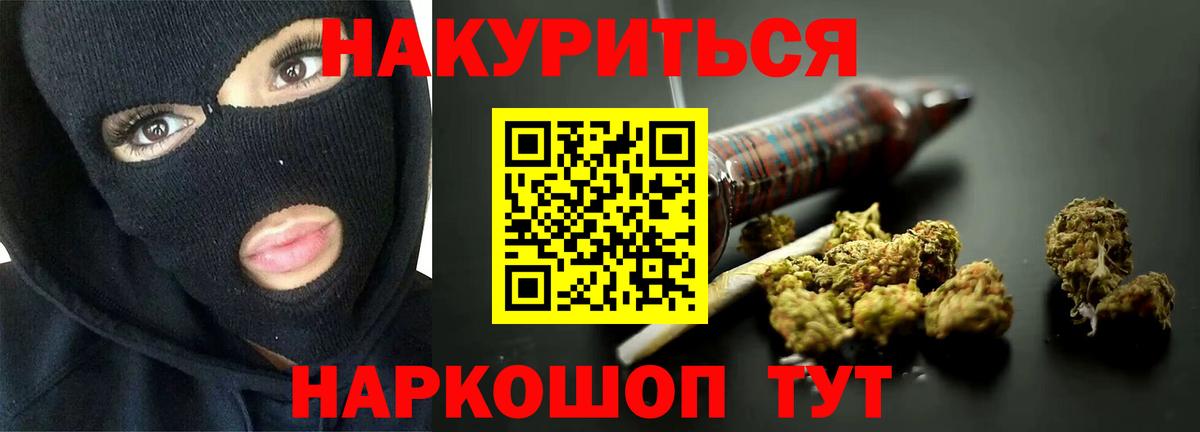 Каннабис планчик Гатчина
